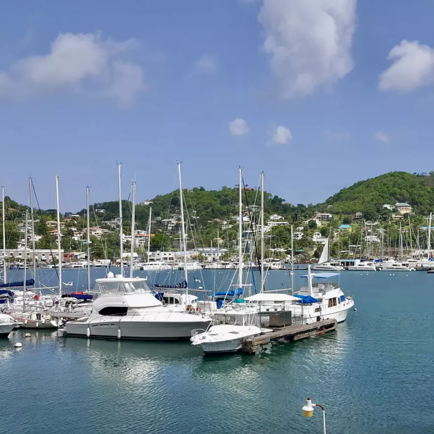 Grenada, Martinique, St. Vincent, Guadalupa, BVI, Antigua, St. Martin